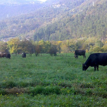 Agriturismo Biobio Vobarno Экстерьер фото