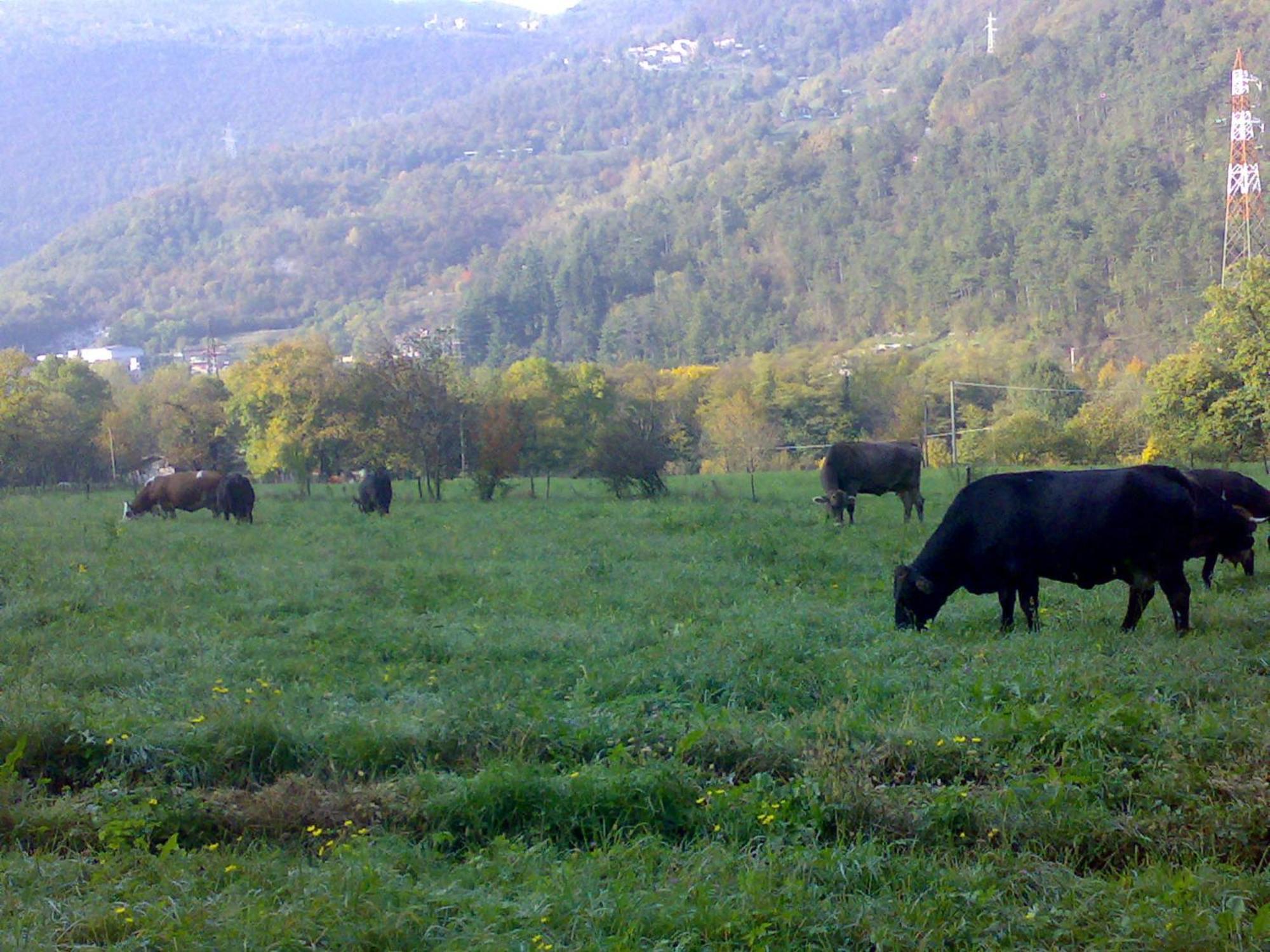 Agriturismo Biobio Vobarno Экстерьер фото